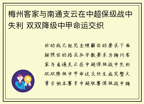 梅州客家与南通支云在中超保级战中失利 双双降级中甲命运交织